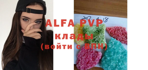 стафф Арсеньев