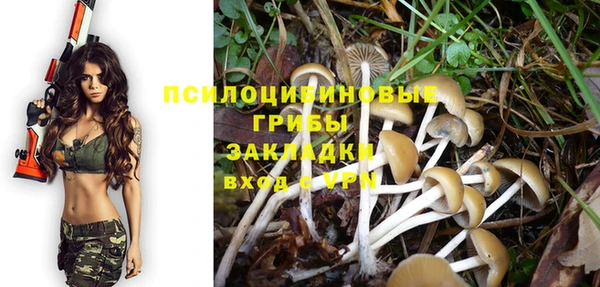 соль ск Балабаново