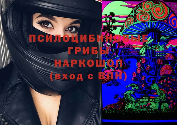 прущие грибы Армянск