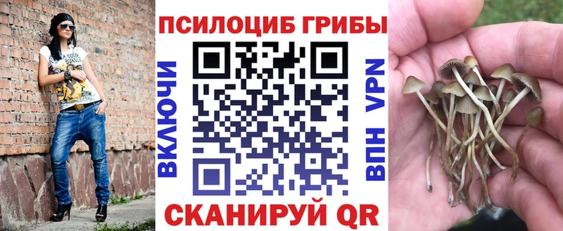 KRAKEN ONION  мориарти какой сайт  Псилоцибиновые грибы Magic Shrooms  купить закладку  Белая Калитва 