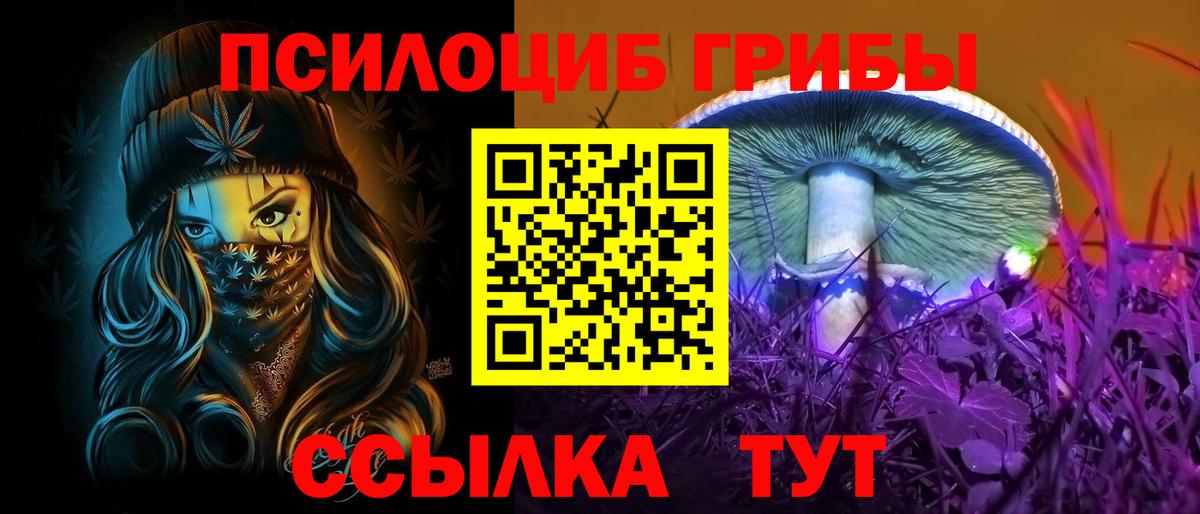 купить  сайты  Псилоцибиновые грибы Psilocybine cubensis  Вход с VPN  Белая Калитва 