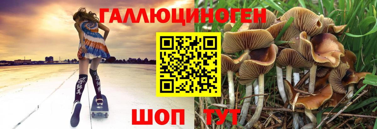 Псилоцибиновые грибы Psilocybine cubensis Белая Калитва